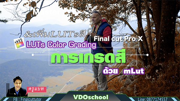 การเกรดสี เพิ่มLUTs สี